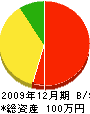 杉本建設 貸借対照表 2009年12月期