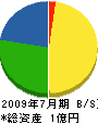 永田実産業 貸借対照表 2009年7月期