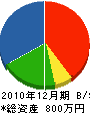 岩枝電気工務店 貸借対照表 2010年12月期