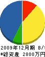 小野寺電気 貸借対照表 2009年12月期