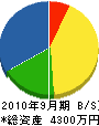 石川組 貸借対照表 2010年9月期
