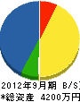 井上電気商会 貸借対照表 2012年9月期