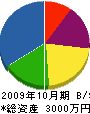 綾瀬造園土木 貸借対照表 2009年10月期