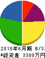 松坂建設 貸借対照表 2010年6月期
