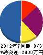 新井電気 貸借対照表 2012年7月期