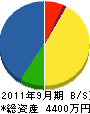 渡辺通信システム 貸借対照表 2011年9月期