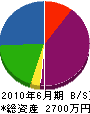 松山塗装 貸借対照表 2010年6月期