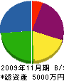 新千葉電設 貸借対照表 2009年11月期