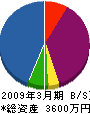 坂本建設 貸借対照表 2009年3月期