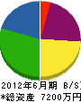 大塚塗装 貸借対照表 2012年6月期