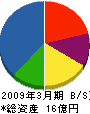桜井鉄工 貸借対照表 2009年3月期