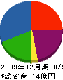 平和実業 貸借対照表 2009年12月期