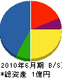 木村 貸借対照表 2010年6月期