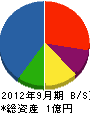 長谷川工業 貸借対照表 2012年9月期