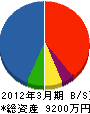 細谷工業 貸借対照表 2012年3月期