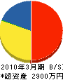 齋藤建築 貸借対照表 2010年3月期