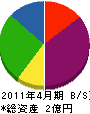 渡辺建設工業 貸借対照表 2011年4月期