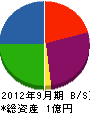 長谷川興業 貸借対照表 2012年9月期