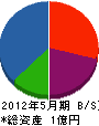 鹿児島タニザキ 貸借対照表 2012年5月期