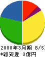 大雄電工 貸借対照表 2008年3月期