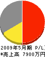 笠松電気 損益計算書 2009年5月期