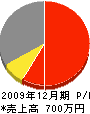 平塚組 損益計算書 2009年12月期