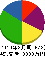 タムラ技建 貸借対照表 2010年9月期