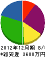 奥野電気商会 貸借対照表 2012年12月期