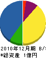 金澤建設 貸借対照表 2010年12月期