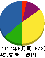 竹之内組 貸借対照表 2012年6月期