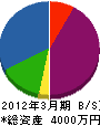 紅井電機商会 貸借対照表 2012年3月期
