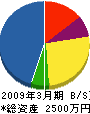 笠松電気水道工業所 貸借対照表 2009年3月期