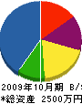 野元建設 貸借対照表 2009年10月期