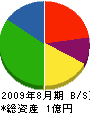 伸栄工業 貸借対照表 2009年8月期