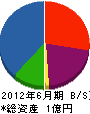 斗伸 貸借対照表 2012年6月期