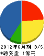 日本電工 貸借対照表 2012年6月期