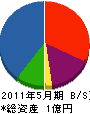 鹿児島タニザキ 貸借対照表 2011年5月期