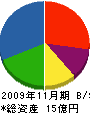 永田メディカル 貸借対照表 2009年11月期