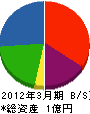 田辺建材工業 貸借対照表 2012年3月期