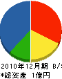 柿崎建設工業 貸借対照表 2010年12月期