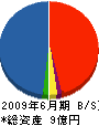 大阪ヒノデサービス販売 貸借対照表 2009年6月期