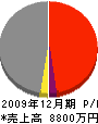 藤沢工業 損益計算書 2009年12月期
