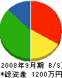 長濱建設工業 貸借対照表 2008年9月期
