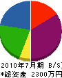 三島緑地 貸借対照表 2010年7月期
