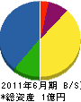 竜田産業 貸借対照表 2011年6月期