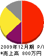 長谷川電業 損益計算書 2009年12月期