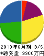 大嶋土木工業 貸借対照表 2010年6月期