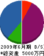 村田設備 貸借対照表 2009年6月期