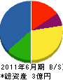 和歌山電機製作所 貸借対照表 2011年6月期
