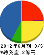中川ソフトエンジニアリング 貸借対照表 2012年6月期